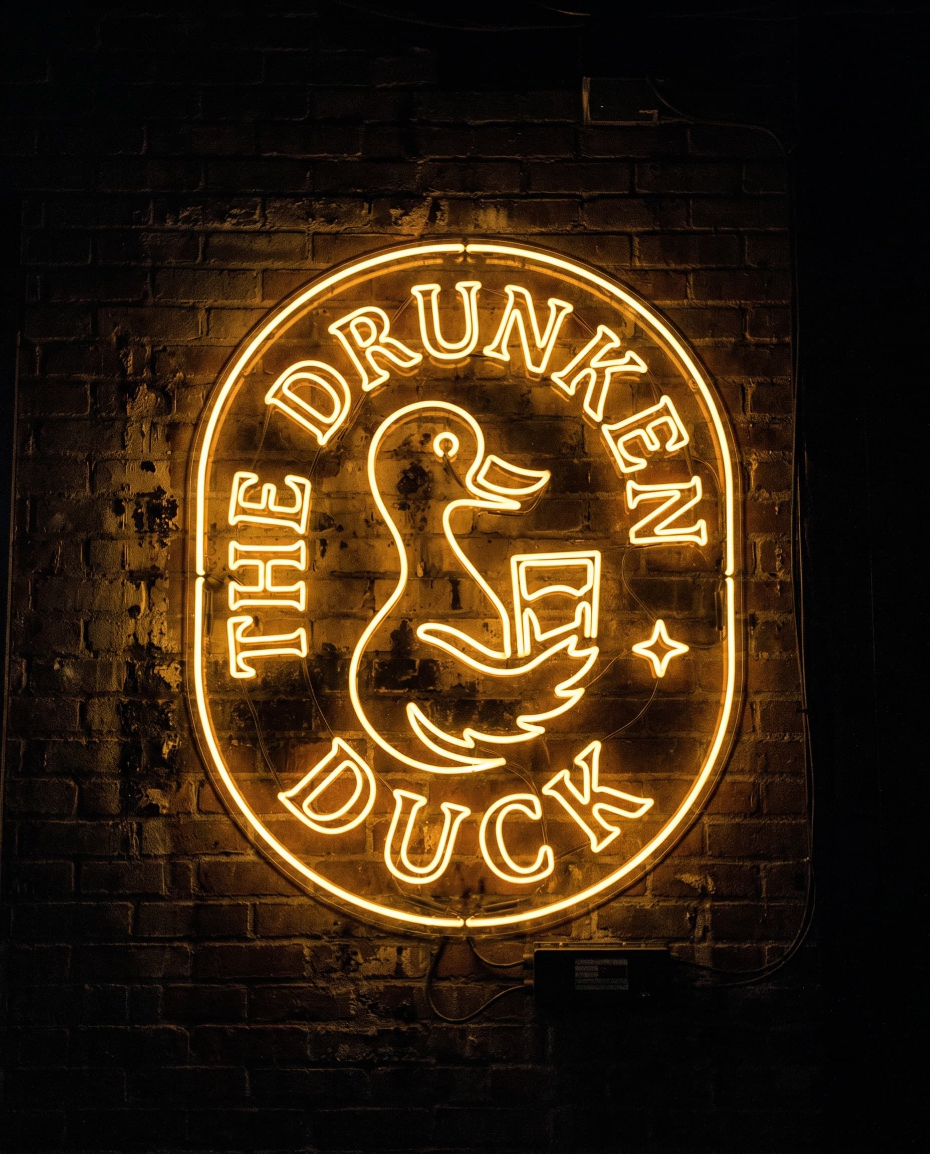Neon duck sign